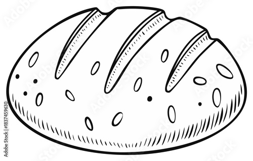 Drawn illustration of freshly baked bread loaf with scoring marks and textures.