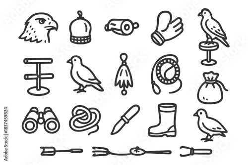 Outline illustrations of falconry gear and birds in various poses.