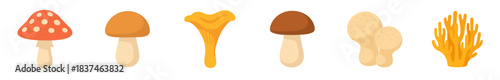 Six colorful cartoon mushrooms and fungi varieties are depicted in a charming, flat illustration style, showcasing diverse shapes and earthy tones
