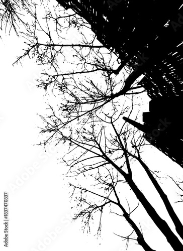 Monochrome silhouette of tree branches In the city. hand drawing. Not AI Vector illustration