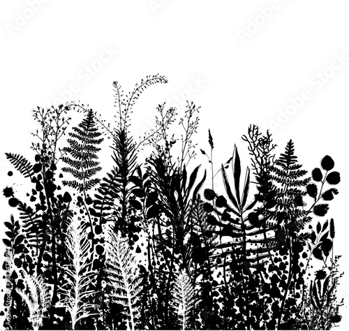 Hello summer. Monochrome field grass hand drawing. Not AI Vector illustration