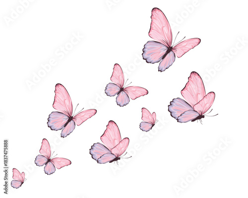 WATERCOLOR hand drawn design vector 