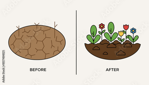 A beforeandafter shot of a barren patch of soil transformed into a flourishing garden thanks to regular compost use.