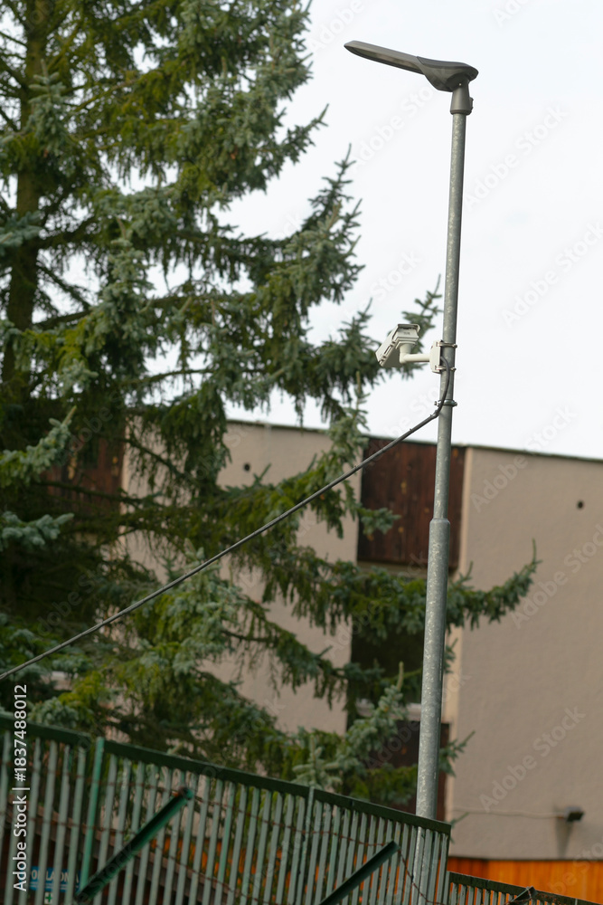 Fototapeta premium aging streetlight beside tall pine, concrete apartment backdrop, metal fence foreground, overcast sky and muted palette, visible utility wire and lamp bracket, municipal infrastructure resilience