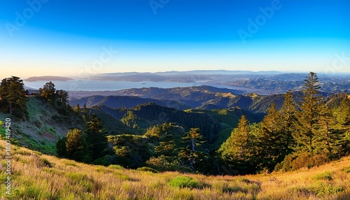 mount tamalpais in marin county california forested ridges with panoramic views of san francisco bay
