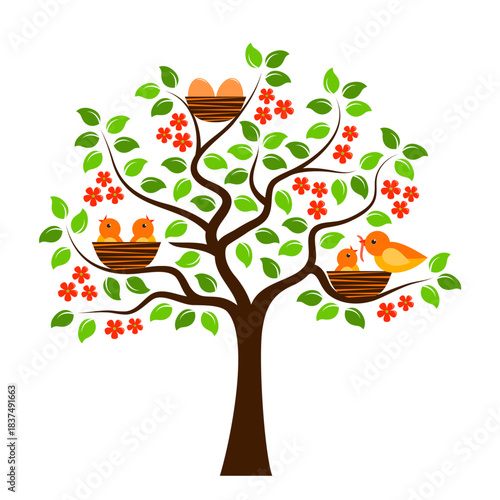 flowering tree with birds and eggs in nests isolated on white background