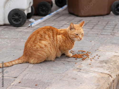 vmalisauskas@gmail.com