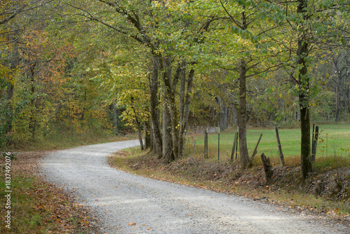 Winding gravel lane surrounded by lush trees leads through a tranquil forest beside an open field in the heart of Illinois' midwestern landscape during a serene autumn afternoon