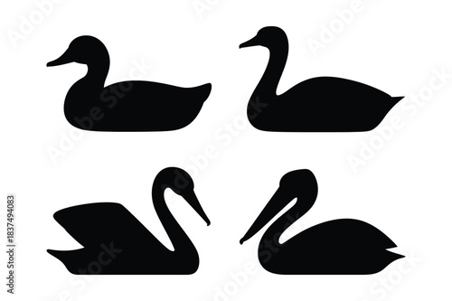 Silhouettes of various water birds including duck, swans, pelican