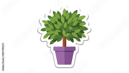 A Potted Green Leafy Tree With A Purple Pot On A Transparent Background