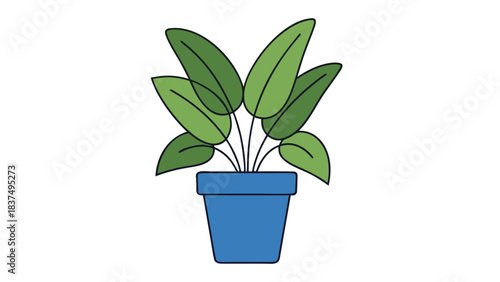 A Potted Green Plant With Broad Leaves Sits In A Blue Ceramic Pot Against A Solid Black Background With Simple Clean Lines And A Minimalist Flat Design Style