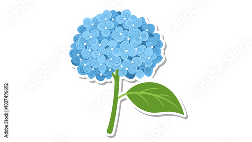 A single blooming blue hydrangea flower with a green stem and leaf on a black background representing delicate nature beauty and springtime freshness in illustration style