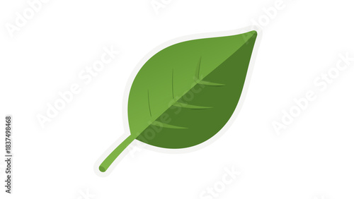 A Single Vibrant Green Leaf with Detailed Veins on a Stark Black Background Isolated with a Clean White Outline Minimalist Nature Graphic