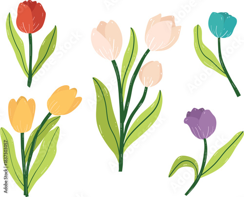 set of colorful tulip flower cartoon icons. Nature flower spring and summer in garden 