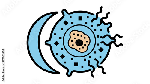 Abstract biological cell illustration with nucleus and cytoplasm on black background