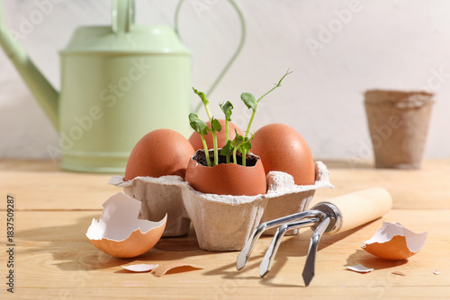 Cardboard box with egg shel...