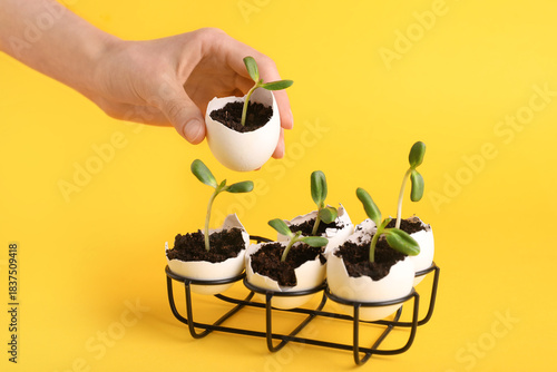Female hand with egg shells...