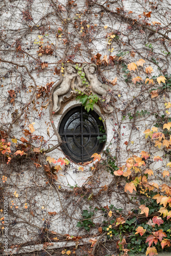 Round Window Surrounded by Cherub Sculpture and Colorful Autumn Ivy on a Wall, Paris, France