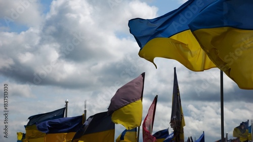 Tableau sur toile View on blue-yellow flags at countless graves of ukrainian soldiers alley of glory in Kharkiv