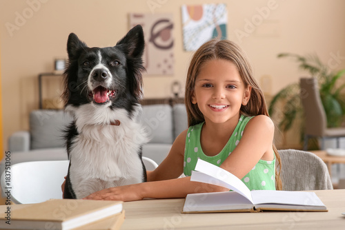 Cute little girl with Borde...