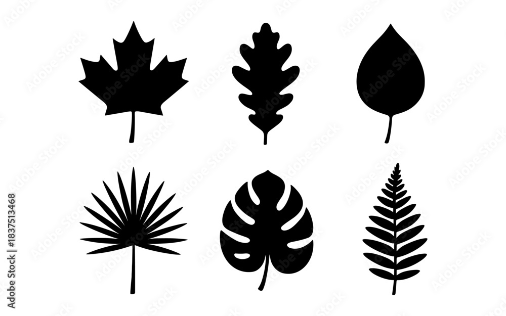 Obraz premium Black leaf silhouettes of various plants on a white background