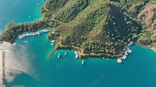 aerial view of the marina