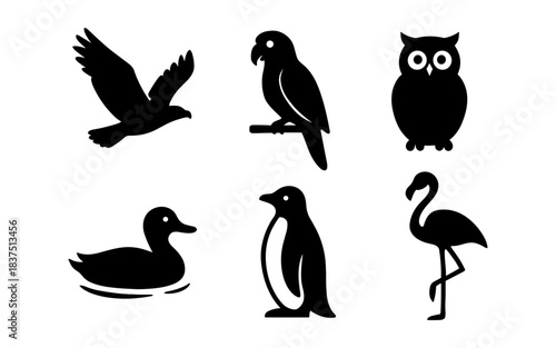 Black bird silhouettes: eagle, parrot, owl, duck, penguin, and flamingo