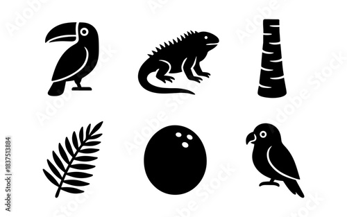 Black and white tropical icons of animals and plants on a white background