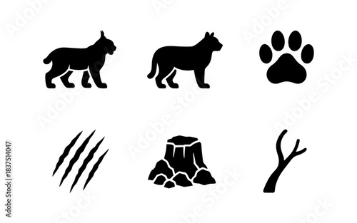 Black Lynx, Paw Print, and Claw Marks Silhouettes on White Background