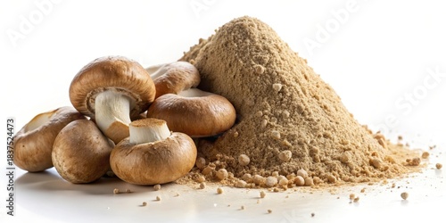 Fototapeta Naklejka Na Ścianę i Meble -  Aromatic powder pile with two whole mushrooms atop , food display