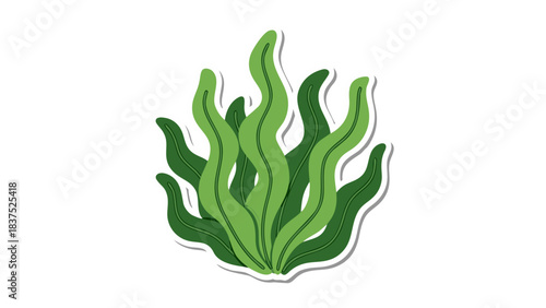 Green Seaweed Plant Illustration with Detailed Leafy Fronds and Textured Surface Against a Simple Dark Background