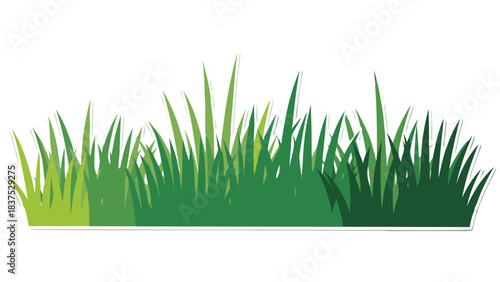 Lush Green Grass Blades with Realistic Shadows and Light Accents on a Transparent Background