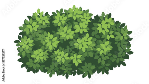 Lush Green Bush With Dense Foliage And Varying Shades Of Green Leaves On A Transparent Background
