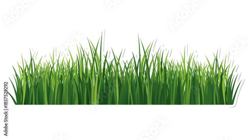 Lush Green Grass Border With White Outline On A Transparent Background Perfect For Ground Cover And Natural Scenes