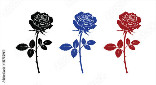 Three Different Color Roses Isolated on White Background