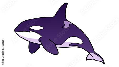 Orca Killer Whale Marine Mammal Illustration With Purple And White Coloration And Black Background Simple Art Style