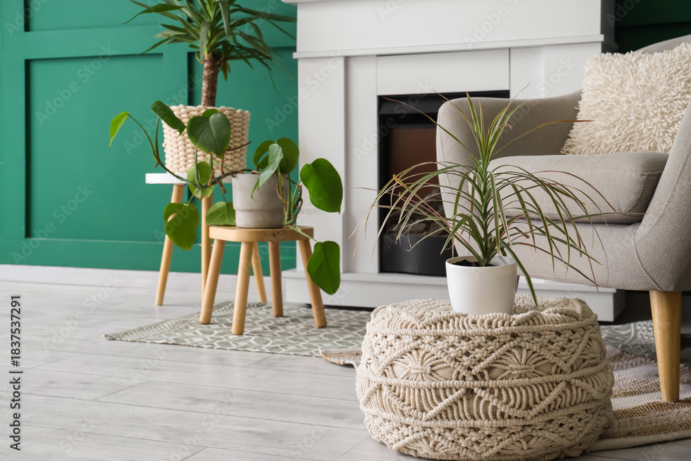 Fototapeta premium Interior of stylish living room with grey armchair, fireplace and houseplants