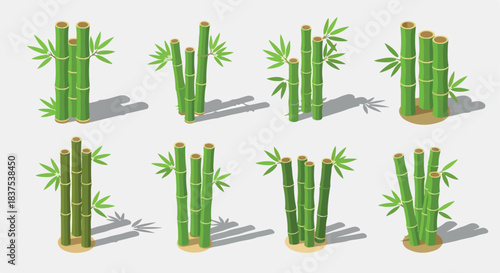 Group of green bamboo stalks with shadows