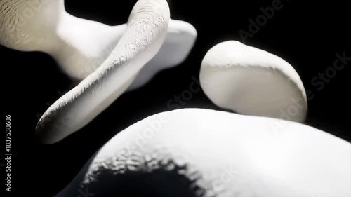 Close-up of abstract white sculpted forms against a dark background, highlighting light and shadow play