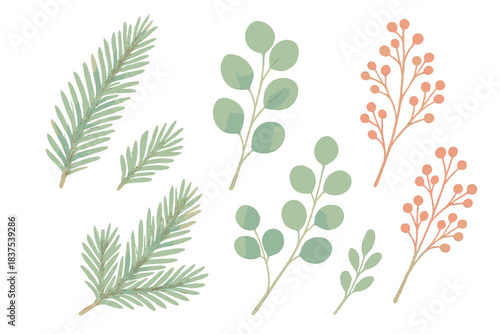 Botanical leaves flat icon set. featuring pine needles, eucalyptus, and berry branches