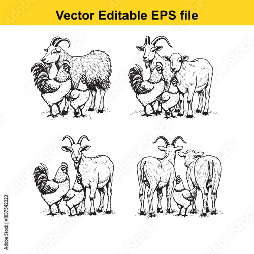  farm animals illustration goats and chickens isolated on white