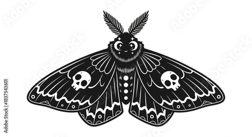 Elegant black and white moth illustration with skull and moon details on wings design concept