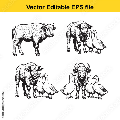  buffalo and geese illustrations isolated on white