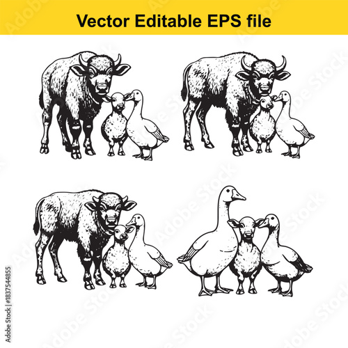  farm animals illustration isolated on white