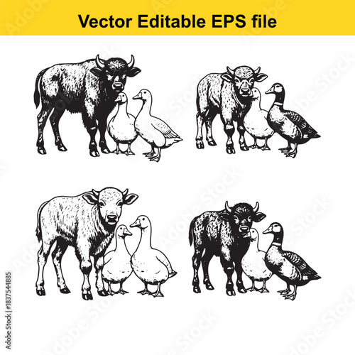  farm animals illustration isolated on white