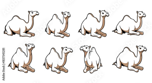 Camel poses collection with transparent background