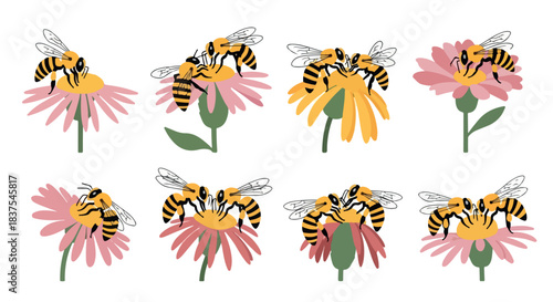 Bees on flowers with transparent background