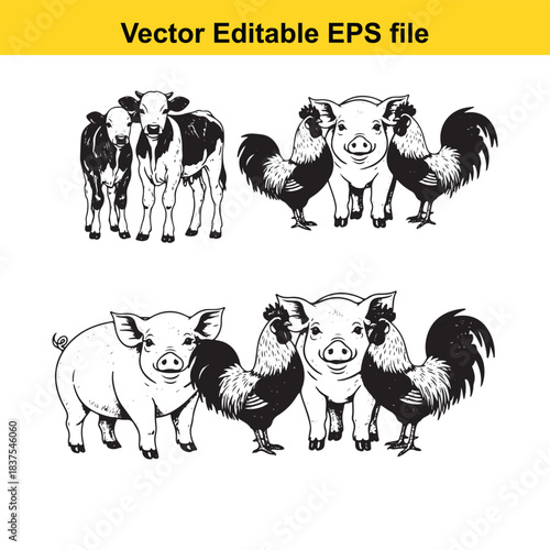  Set of various farm animal compositions including calves pigs and roosters, black and white hand drawn sketch vector illustrations