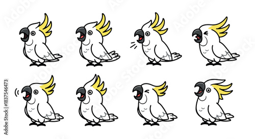 Cockatoo bird poses with transparent background