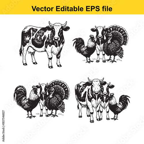  Set of detailed illustrations featuring cows, roosters, and turkeys, hand drawn in black and white sketch style, isolated on white background